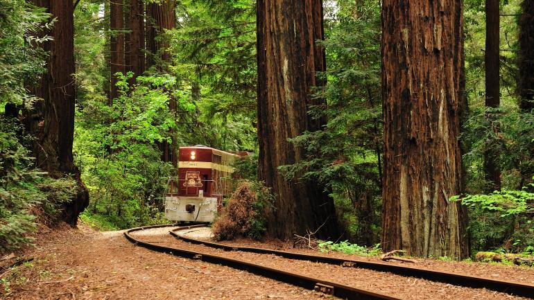 红木森林蒸汽火车