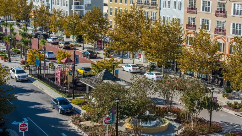 购物街区的行道树们