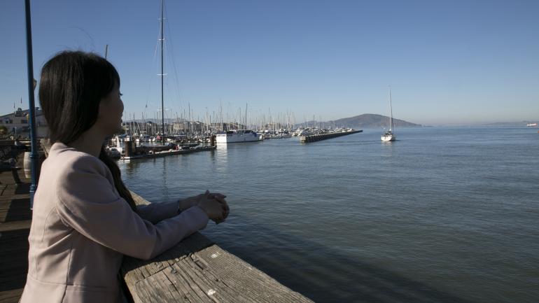 在码头欣赏海湾美景