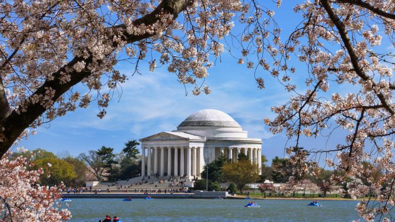 杰弗逊纪念堂的樱花