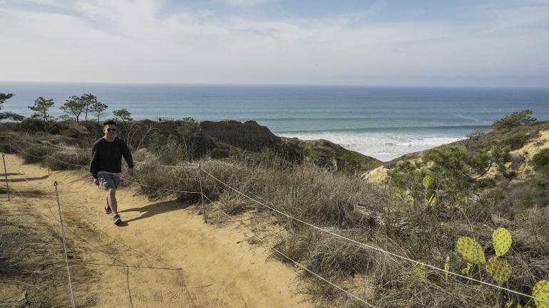 我走在多里松州立自然保护区的小径上，沿途欣赏太平洋的美景