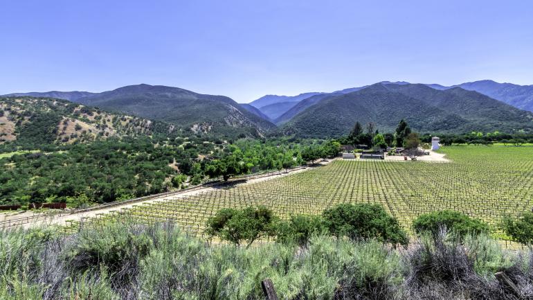 卡梅尔谷的酒庄园地