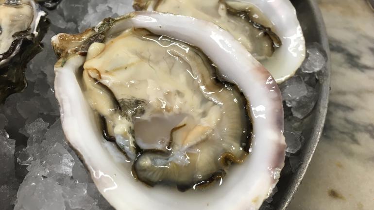 新鲜生蚝