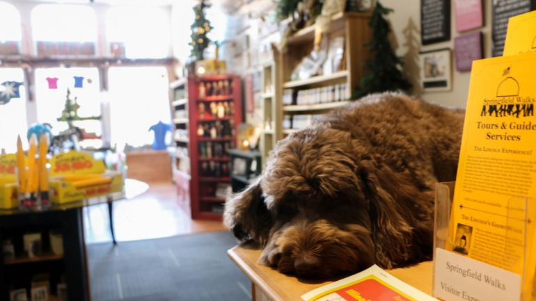 温斯顿在旧首都礼品店打盹