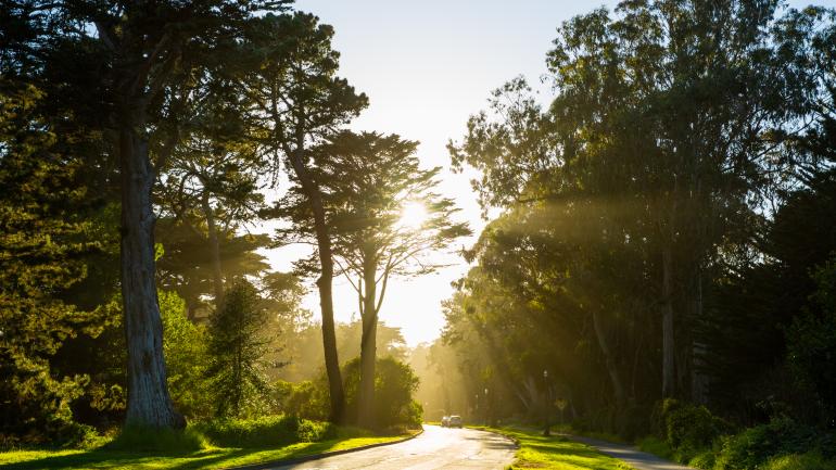 金门公园的小径