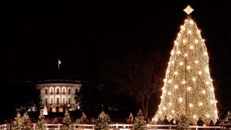 华盛顿DC的白宫和圣诞树