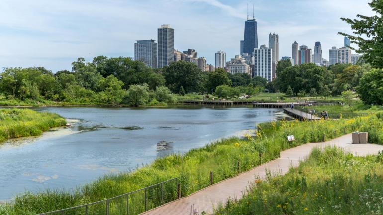 林肯公园自然保护区池塘