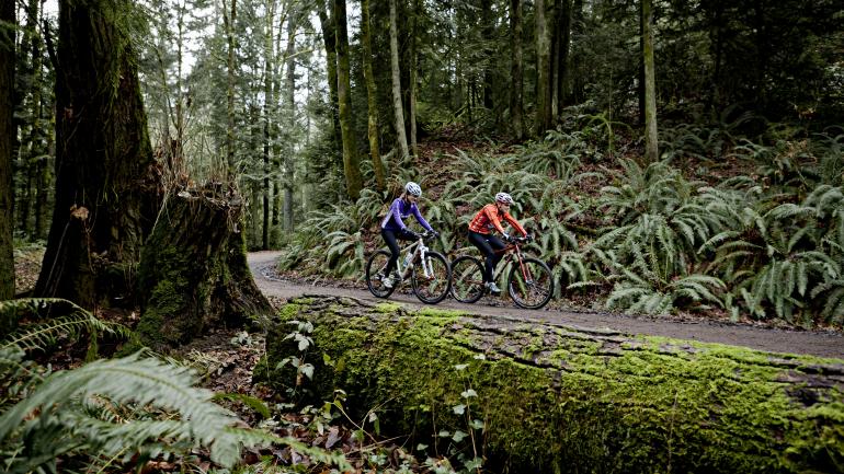 两个骑自行车的人穿过森林公园