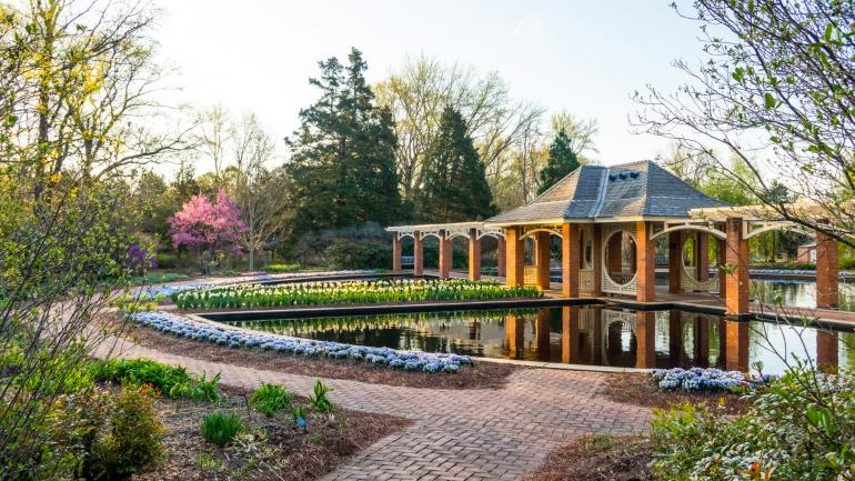 漫步在亨茨维尔植物园的诱人小径上 漫步在亨茨维尔植物园的诱人小径上