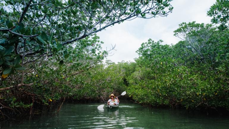 在基韦斯特感受皮划艇的乐趣 在基韦斯特感受皮划艇的乐趣