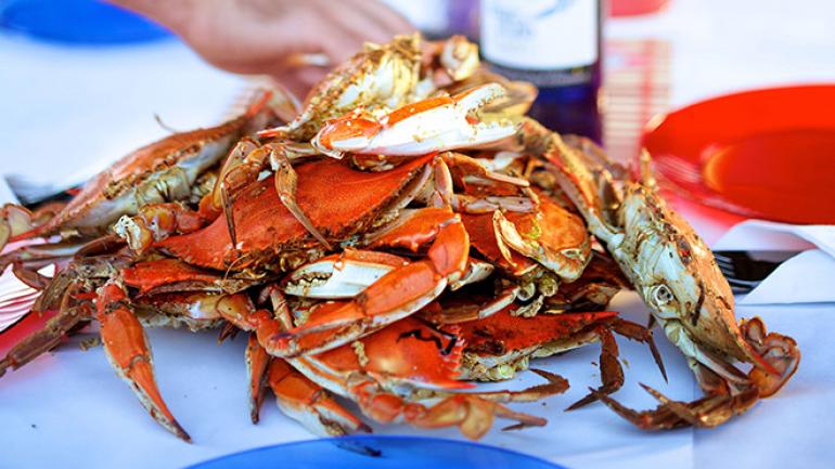 以老湾调味料烹调的弗吉尼亚海滩当地螃蟹已经准备就绪 以老湾调味料烹调的弗吉尼亚海滩当地螃蟹已经准备就绪