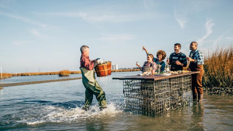 参加牡蛎之旅,品味佳酿并品尝新鲜牡蛎和其他美味食物。 参加牡蛎之旅,品味佳酿并品尝新鲜牡蛎和其他美味食物。