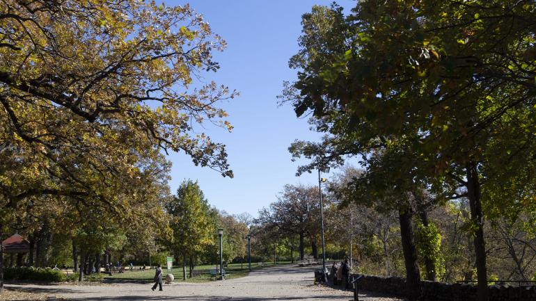 探索这座城市郁郁葱葱的湖滨公园之一