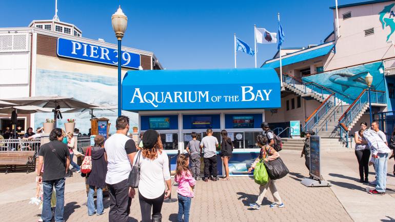 39 号码头海湾水族馆的外侧 39 号码头海湾水族馆的外侧