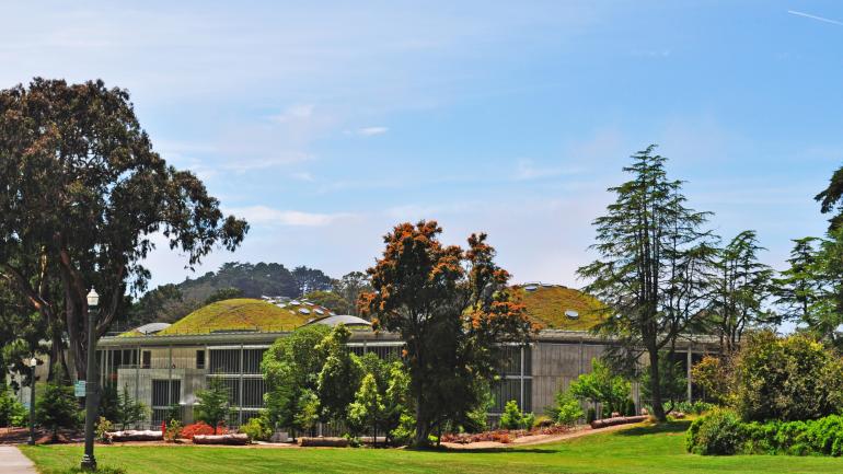 加利福尼亚州科学院的绿植活屋顶 加利福尼亚州科学院的绿植活屋顶