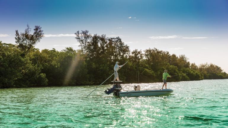 在夏洛特港波光粼粼的水域进行浅水区捕鱼
