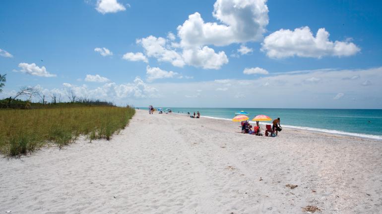 在 Stump Pass Beach 州立公园寻找贝壳和鲨鱼牙齿，度过美好的一天。