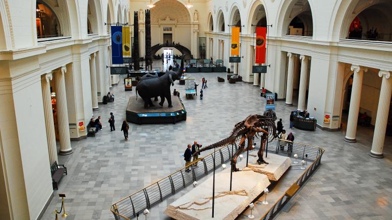 俯瞰菲尔德博物馆的大厅