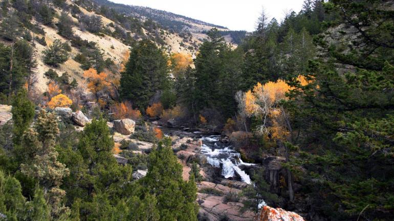 怀俄明州比格霍恩国家森林的 Shell Falls Interpretive Site 解说站
