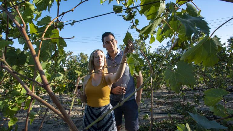 在加利福尼亚州库卡蒙加牧场的约瑟夫·菲利普酒庄与葡萄园探索葡萄园