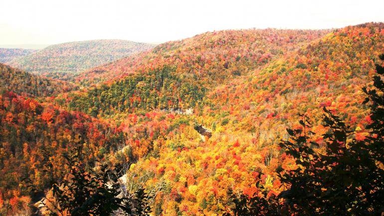秋叶渲染的宾夕法尼亚州恩德莱斯山 秋叶渲染的宾夕法尼亚州恩德莱斯山