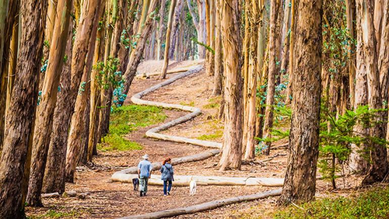 沿着 Wood Line 艺术风情小路漫步