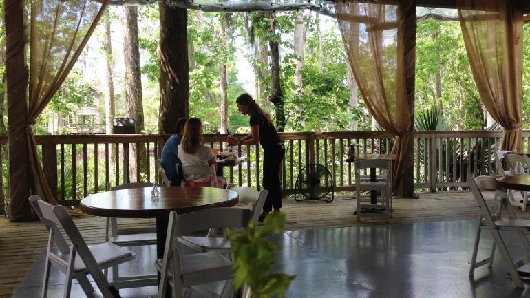 Palmettos on the Bayou 餐厅的树顶晚餐