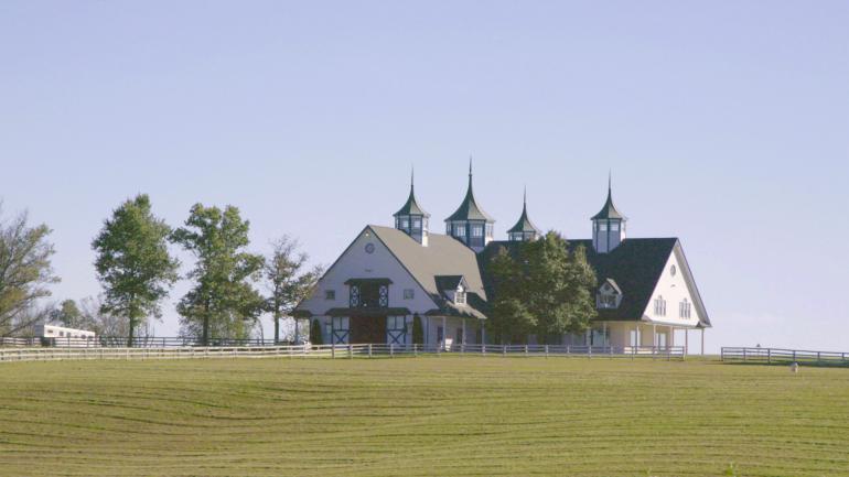 肯塔基州列克星敦一片绵延起伏的马场 肯塔基州列克星敦一片绵延起伏的马场