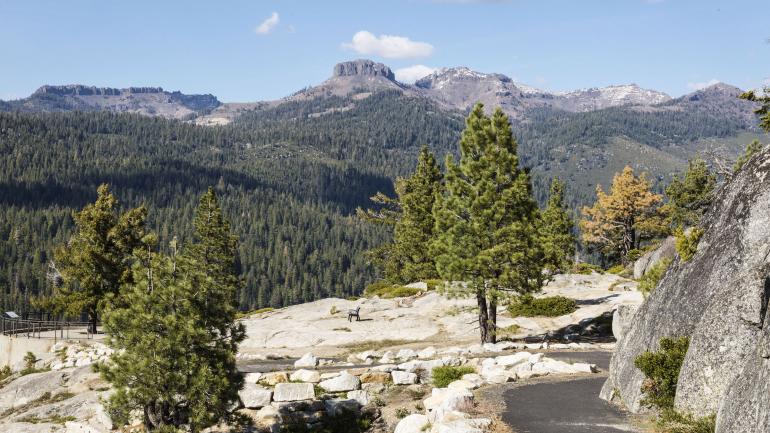 在 Sonora Pass 车道欣赏到的 Donnell Vista 观景小道迷人景致 在 Sonora Pass 车道欣赏到的 Donnell Vista 观景小道迷人景致