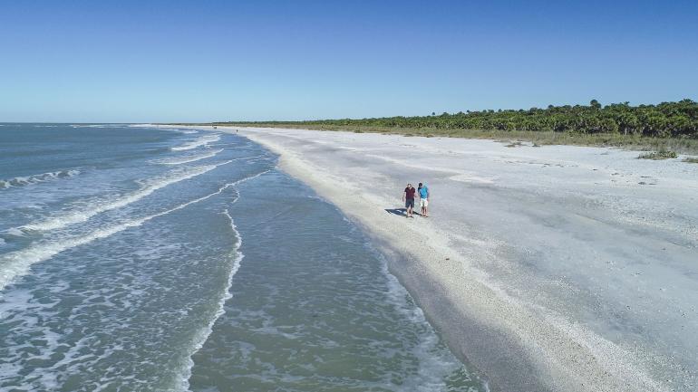 在卡约科斯塔州立公园的私密海岸寻找贝壳