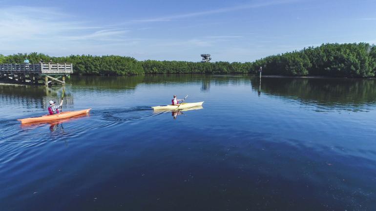 在威登岛保护区享受宁静祥和的午后皮划艇之旅