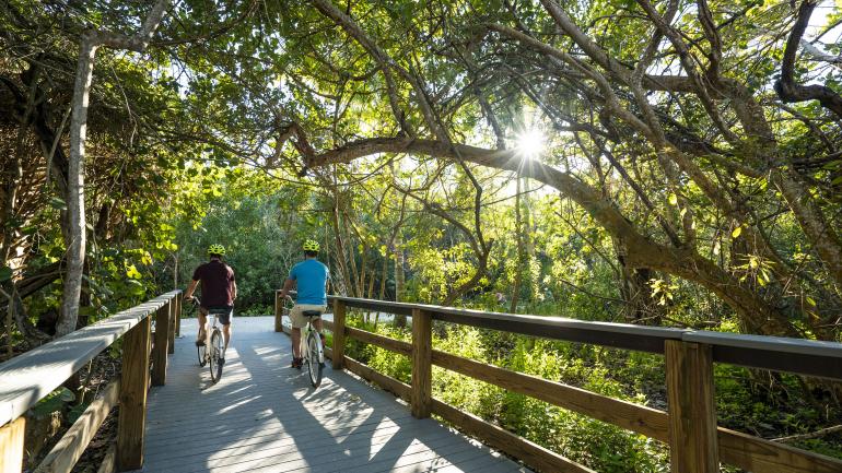 在萨尼贝尔岛的树冠下方享受骑行之趣