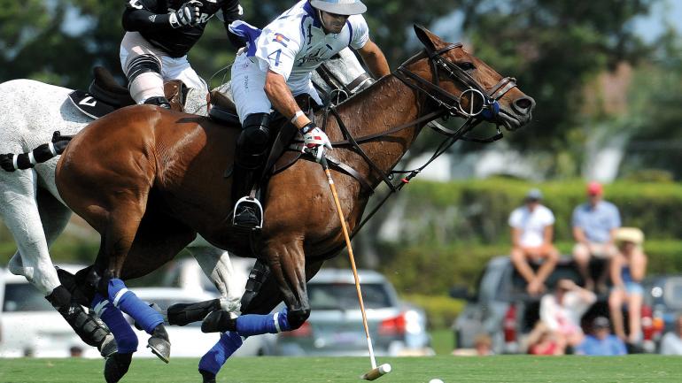闻名的棕榈滩国际马球俱乐部内，一场马球赛正打得热火朝天