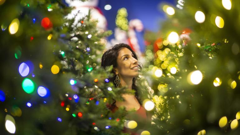 被 Bronner’s CHRISTmas Wonderland 流光溢彩的灯光所包围 被 Bronner’s CHRISTmas Wonderland 流光溢彩的灯光所包围