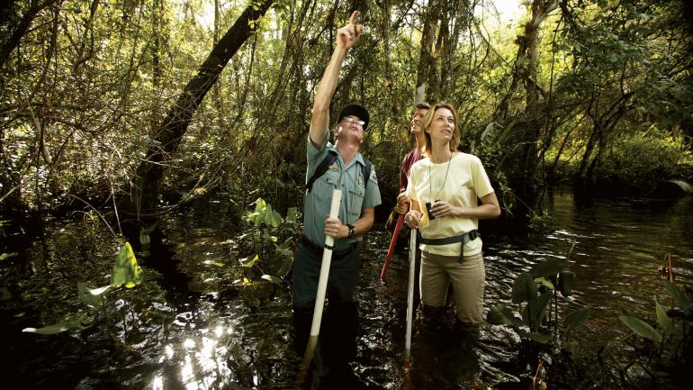 在导游陪同下漫步法喀哈契保护区州立公园的沼泽