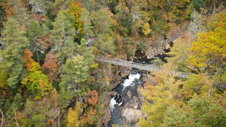 佐治亚州塔卢拉福尔斯：塔卢拉峡谷州立公园内的悬索桥