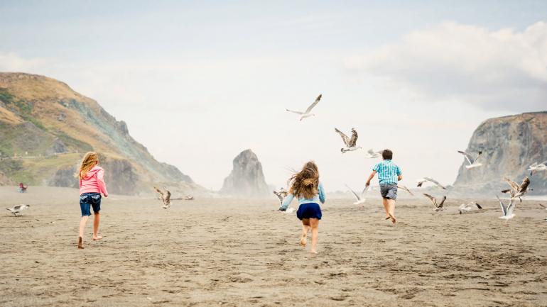 孩子们在索诺马县的一处海滩上嬉戏玩耍 孩子们在索诺马县的一处海滩上嬉戏玩耍