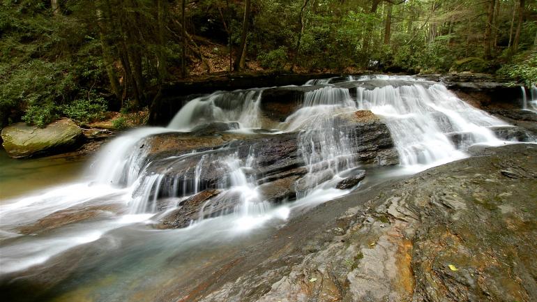 下沉山战场州立公园一条远足小径旁的潺潺流水