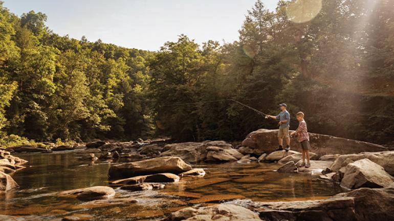 父子飞钓出游的宁静早晨