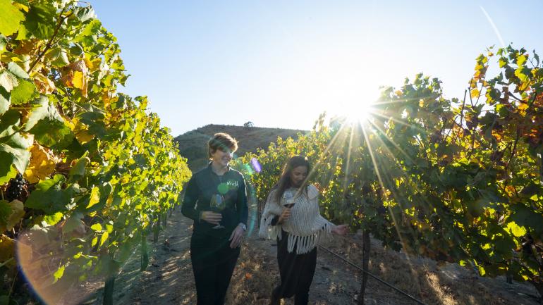 在索莱达的 Wrath Wines 酒庄漫步