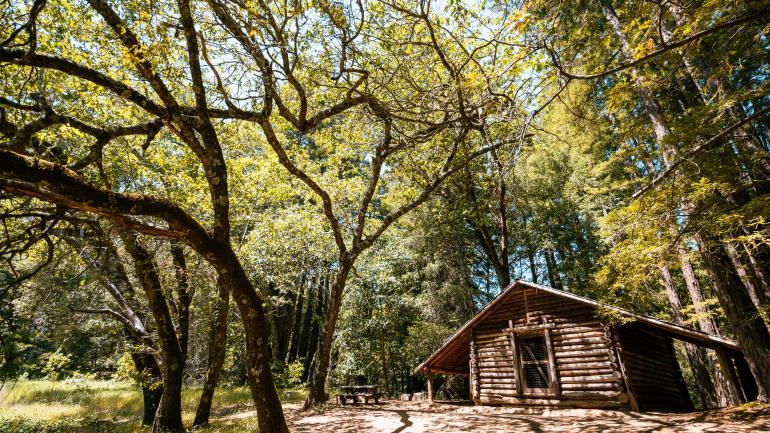 杰克·伦敦州立历史公园的历史小屋 杰克·伦敦州立历史公园的历史小屋