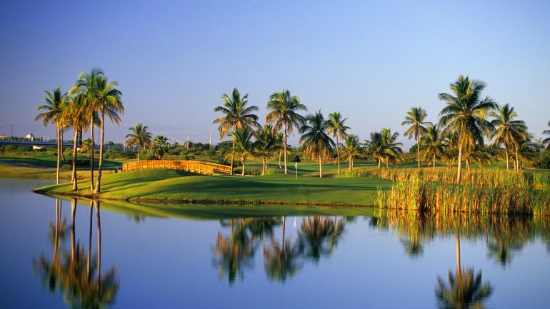 棕榈树倒影在 Costa Caribe Golf & Country Club 俱乐部球道旁的湖泊中