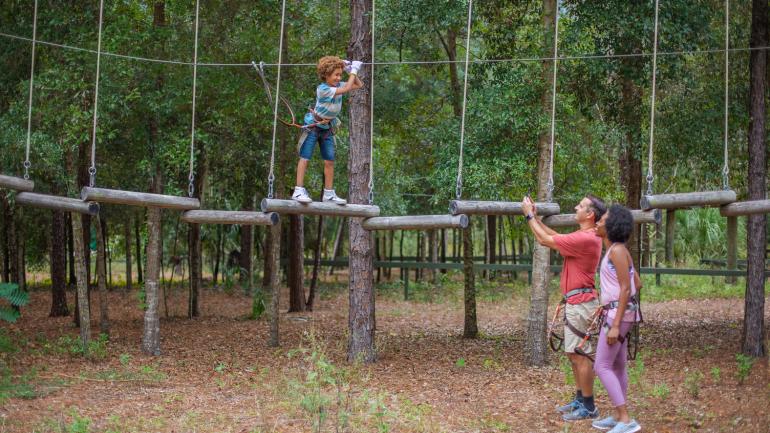 在奥兰多 Tree Trek 探险公园体验摇摆木桩项目