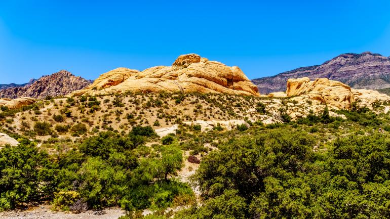 砂岩悬崖 (Sandstone cliffs) 位于红岩峡谷国家保护区小径周围