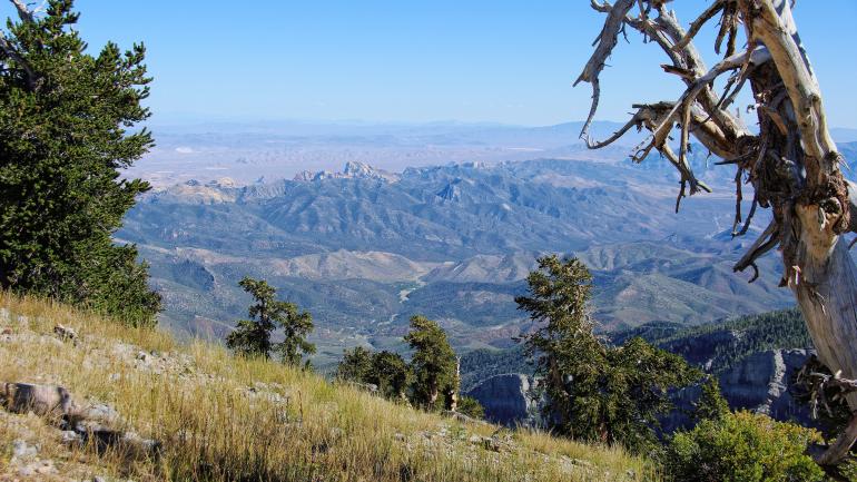 位于斯普林山国家休闲区的森林、草甸和山脉景观