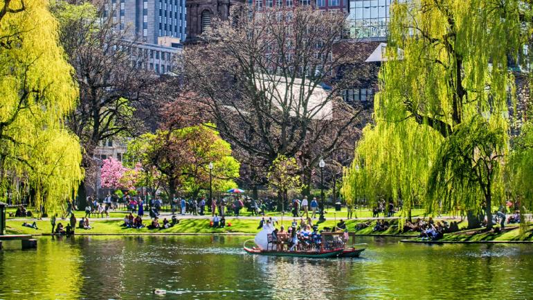 马萨诸塞州波士顿公共花园内的一艘天鹅游船 马萨诸塞州波士顿公共花园内的一艘天鹅游船