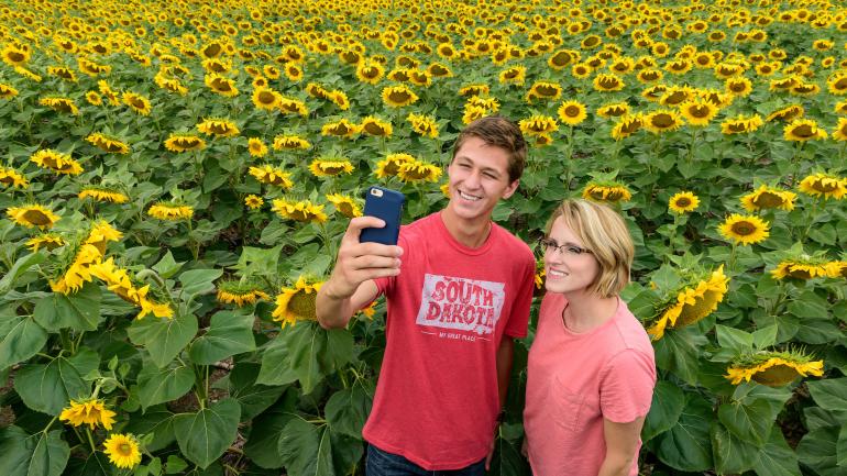 在南达科他州的向日葵花田中拍照留念