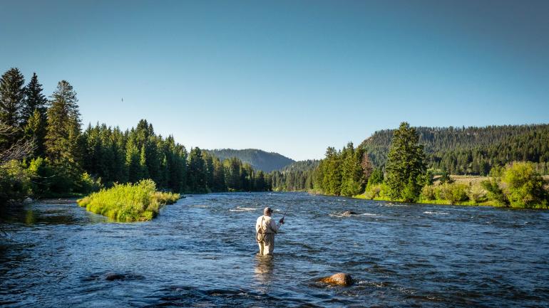 在黑脚河 (Blackfoot River) 上体验飞钓 在黑脚河 (Blackfoot River) 上体验飞钓
