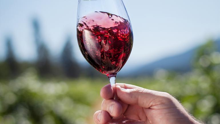 从梅德福酒庄品鉴香醇红酒