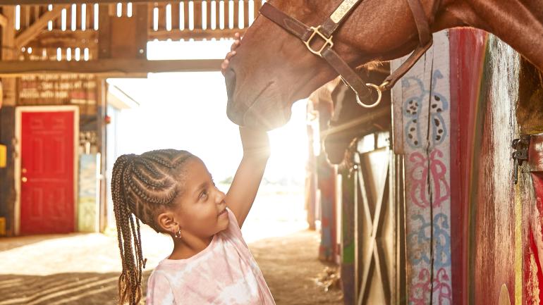 在肯塔基州一处知名赛马场中抚摸骏马的小女孩